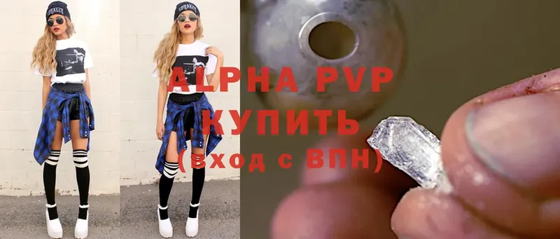 A PVP СК КРИС  Гдов 